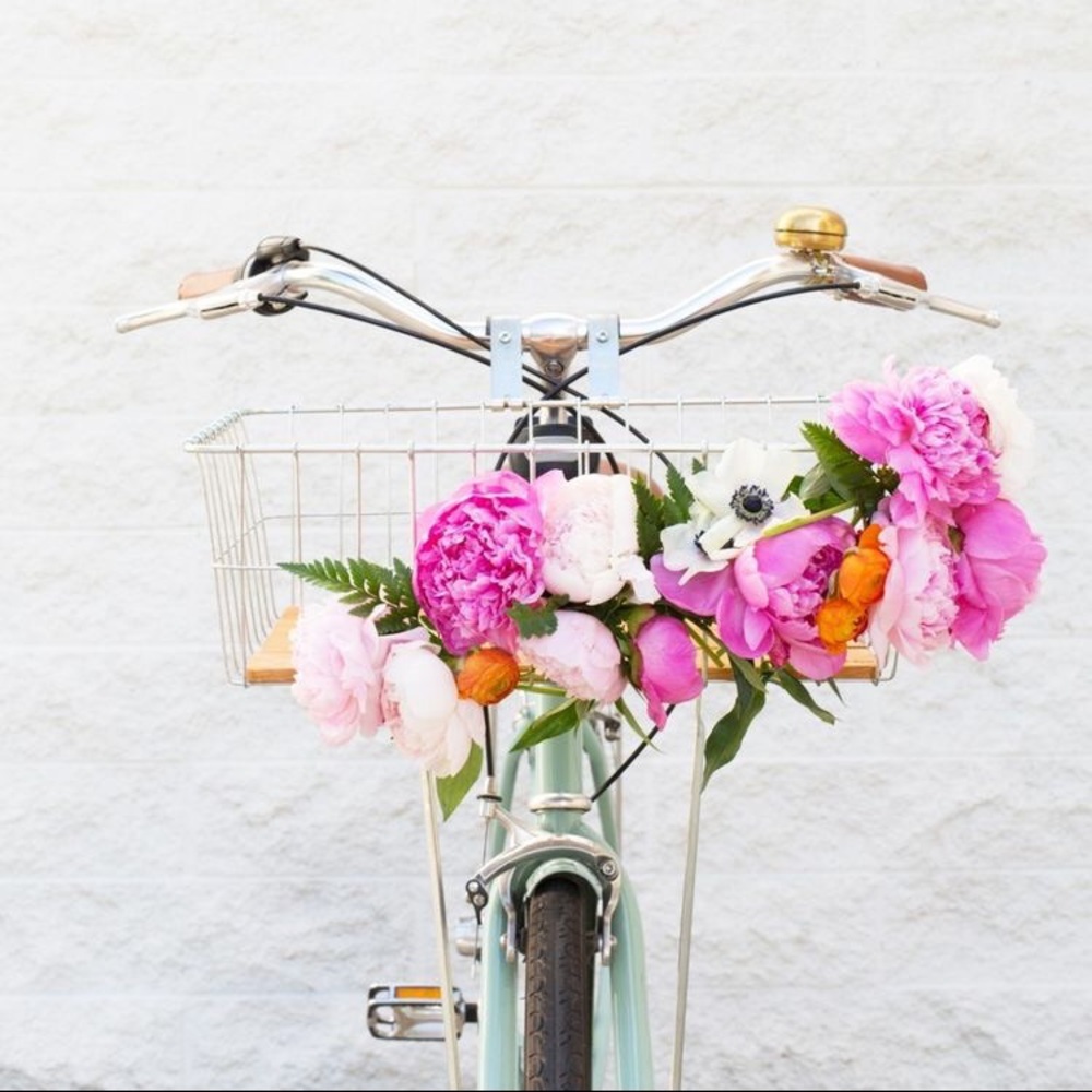 Meet your Posher, Heather